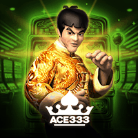 easytogo_ace333
